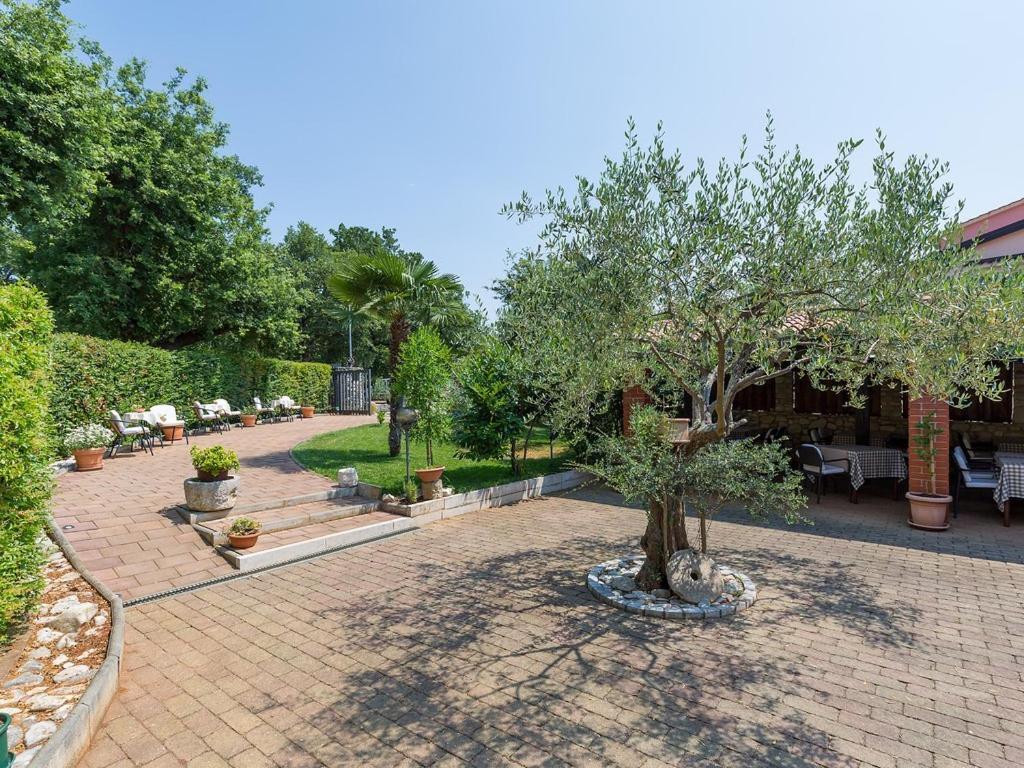 Bed And Breakfast Kolo Adults Only Bužinija 외부 사진